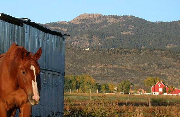 Horsetooth Mountain