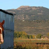 Horsetooth Mountain