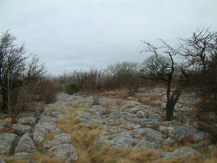 Hutton Roof Crags weather