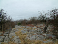 Hutton Roof Crags photo