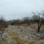 Hutton Roof Crags