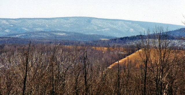 Wills Mountain