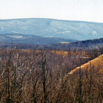 Wills Mountain