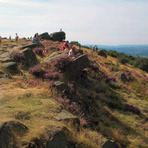 The Chevin