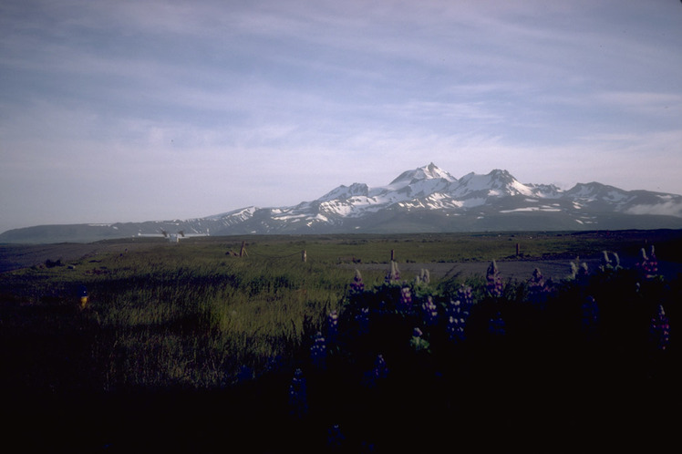 Cold Bay Volcano