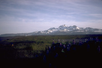 Cold Bay Volcano photo