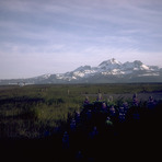 Cold Bay Volcano