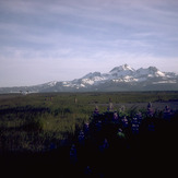 Cold Bay Volcano