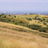 Werneth Low