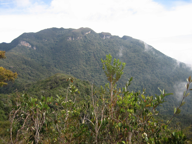 Gunung Tahan weather