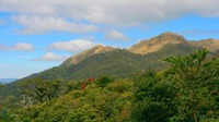 Mount Pulag photo