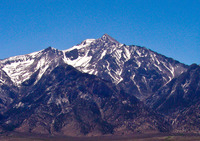 Mount Williamson photo