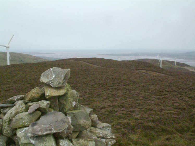 Kirkby Moor