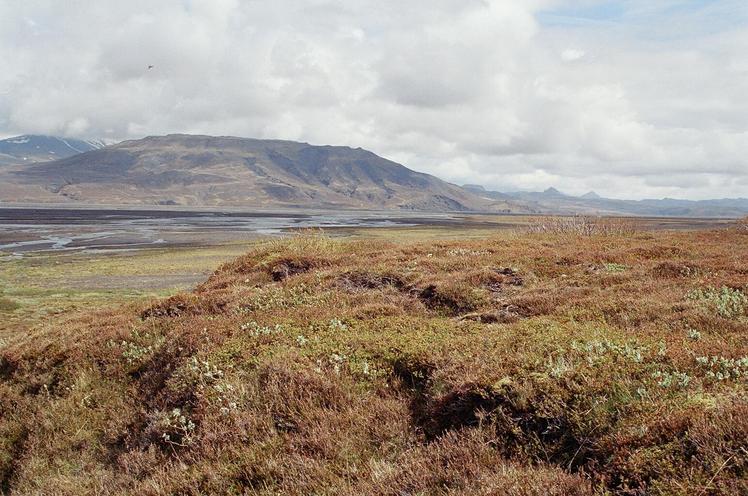 Þórólfsfell weather