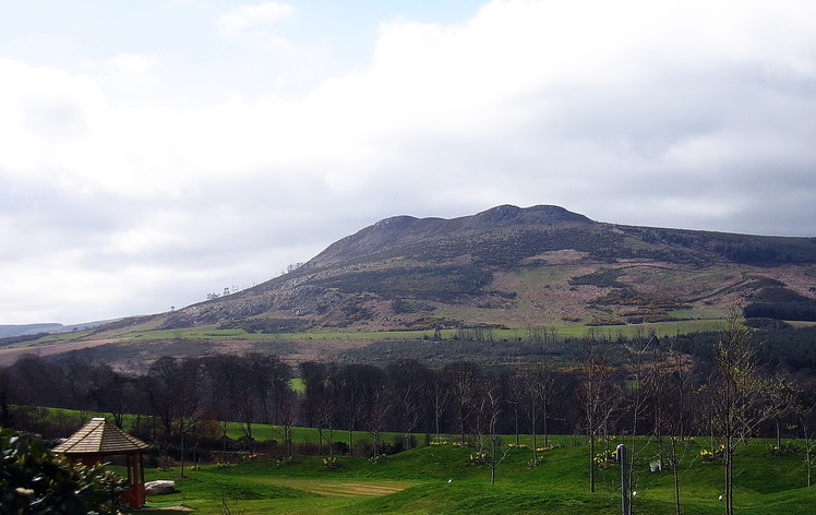 Little Sugar Loaf