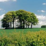 Bishop Wilton Wold