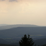 Hohe Wurzel (Taunus)