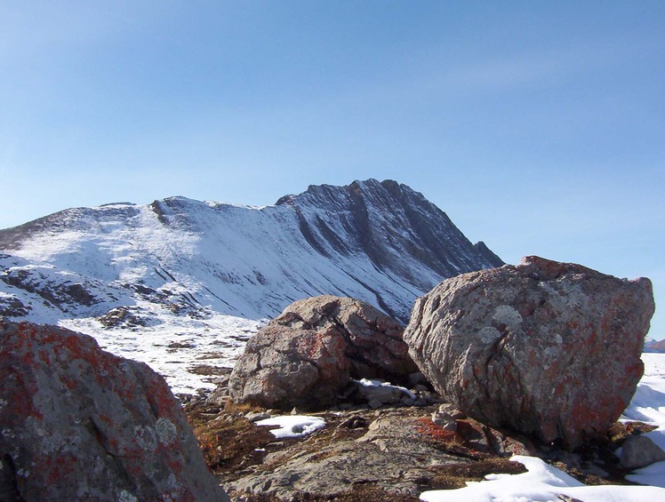 Mount Wilcox