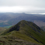 Whiteless Pike