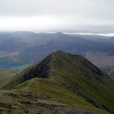 Whiteless Pike