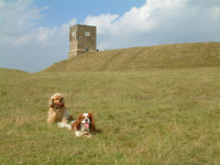 Bredon Hill photo