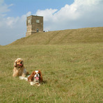 Bredon Hill