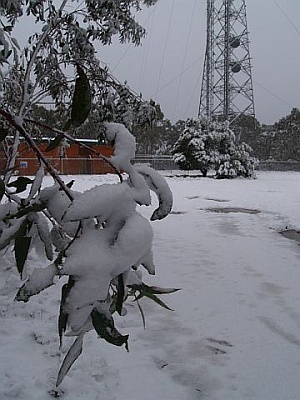 Mount Trickett (New South Wales) weather