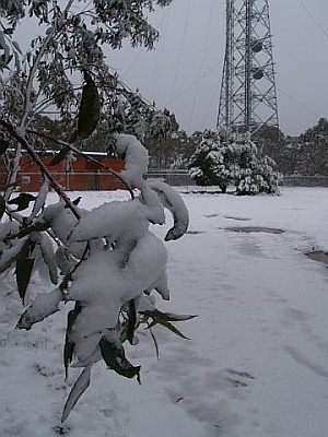 Mount Trickett (New South Wales)