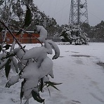 Mount Trickett (New South Wales)