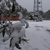 Mount Trickett (New South Wales)