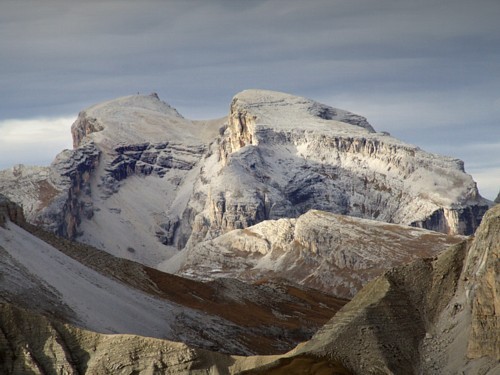 Birkenkofel