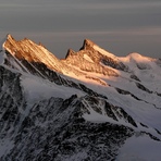 Grünhorn