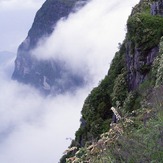 Emei Shan