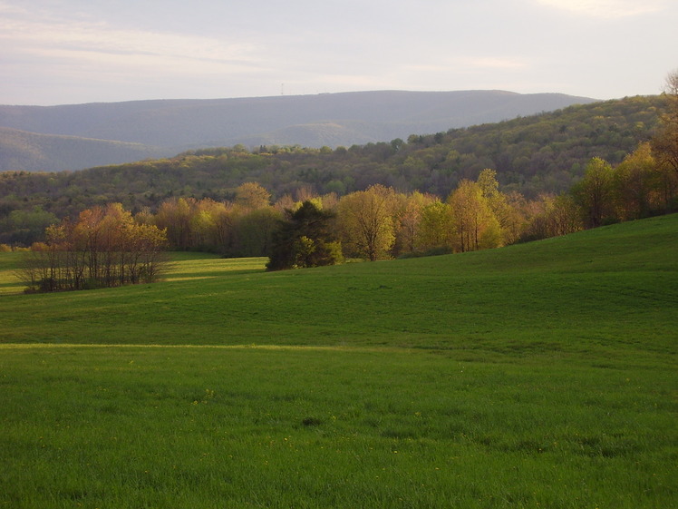 Forkston Mountain