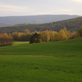 Forkston Mountain