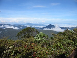 Mount Chamah weather