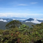 Mount Chamah