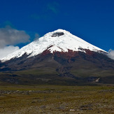 Cotopaxi