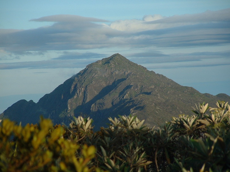 Pico Naiguatá weather