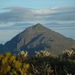 Pico Naiguatá