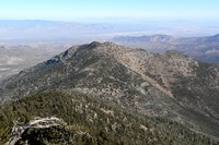 Harris Mountain (Nevada) photo