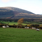 Black Rock Mountain, County Wexford