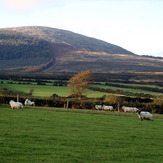 Black Rock Mountain, County Wexford