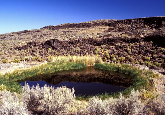 Diamond Craters