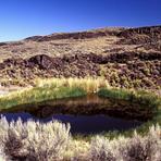 Diamond Craters