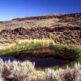 Diamond Craters