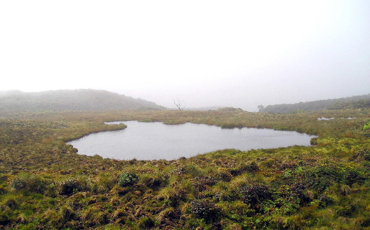 Mount Waialeale weather