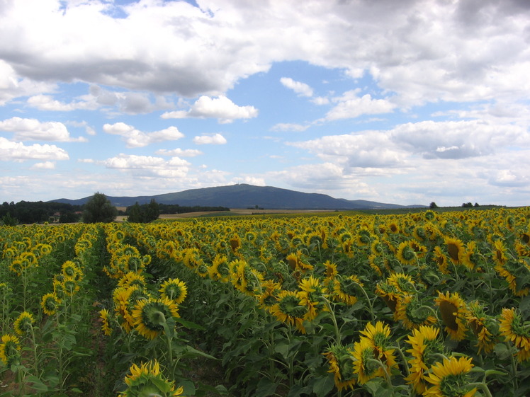 Mount Ślęża