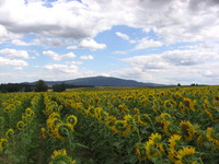 Mount Ślęża photo