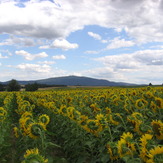 Mount Ślęża